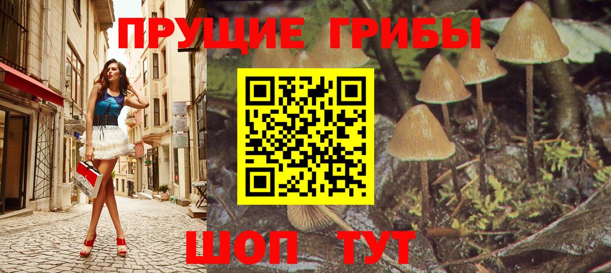 Псилоцибиновые грибы мухоморы Татарск
